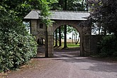DSC_4323.JPG