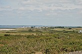 DSC_4358.JPG