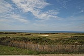 DSC_4359.JPG