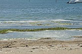 DSC_4366.JPG