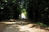 DSC_4393.JPG