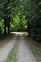 DSC_4395.JPG