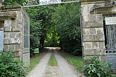 DSC_4396.JPG