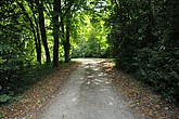 DSC_4397.JPG