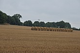 DSC_4416.JPG
