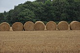 DSC_4417.JPG