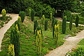 DSC_4463.JPG