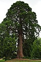 DSC_4466.JPG