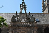 DSC_4501.JPG