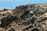 DSC_4507.JPG