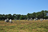 DSC_4519.JPG