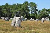 DSC_4521.JPG
