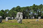 DSC_4522.JPG