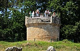 DSC_4533.JPG
