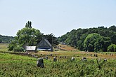 DSC_4534.JPG