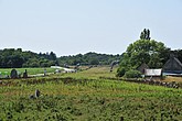 DSC_4535.JPG