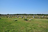 DSC_4556.JPG