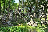 DSC_4565.JPG