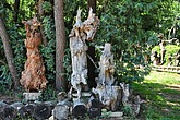 DSC_4566.JPG