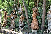 DSC_4567.JPG