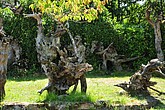 DSC_4574.JPG