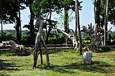 DSC_4576.JPG