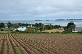 DSC_4589.JPG