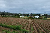 DSC_4591.JPG