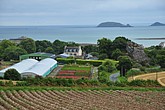DSC_4593.JPG