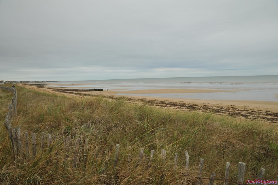 DSC_2299.JPG