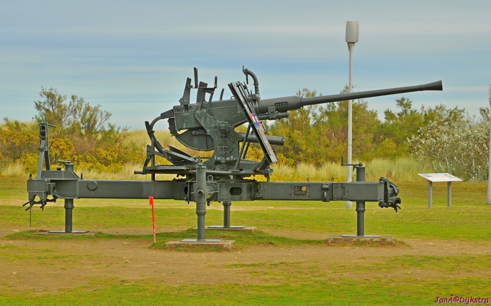 DSC_2308.JPG