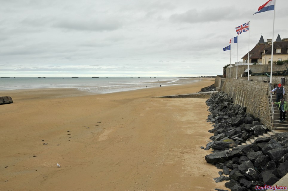 DSC_2330.JPG