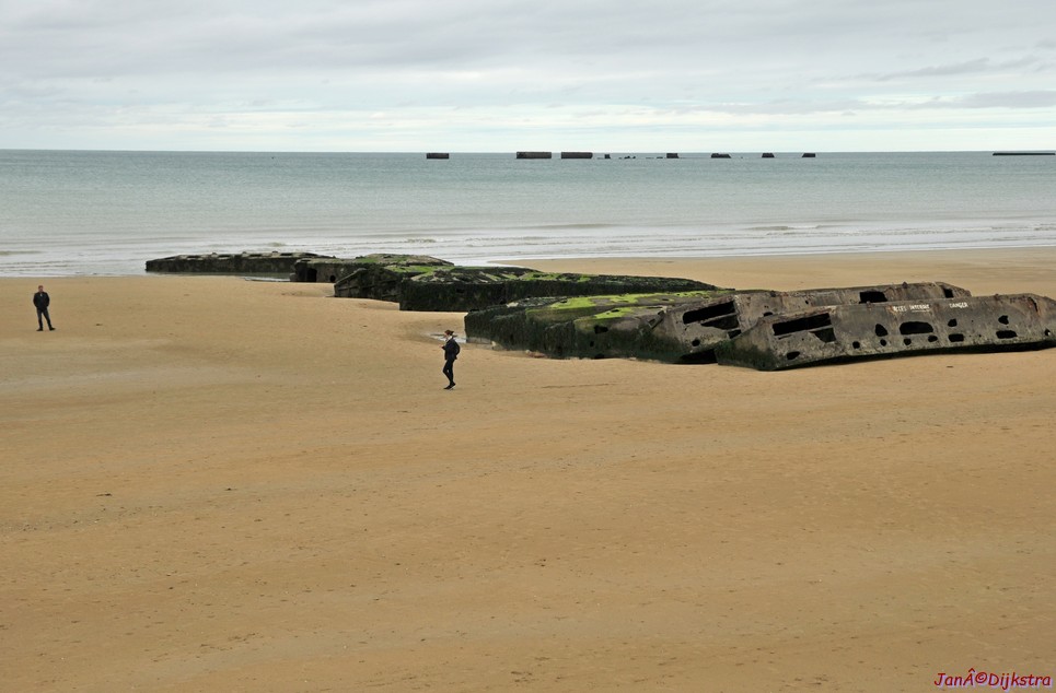 DSC_2331.JPG