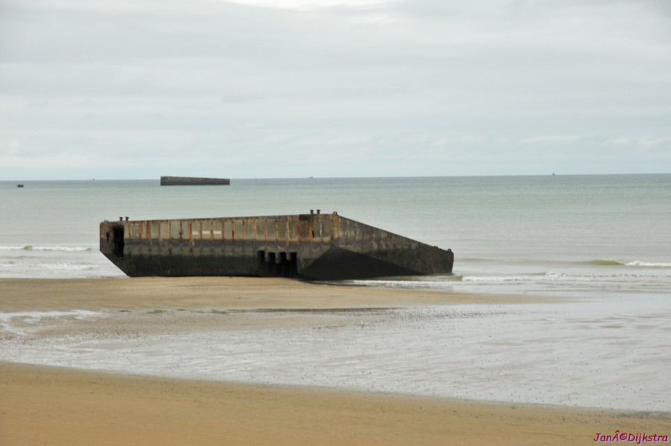 DSC_2334.JPG