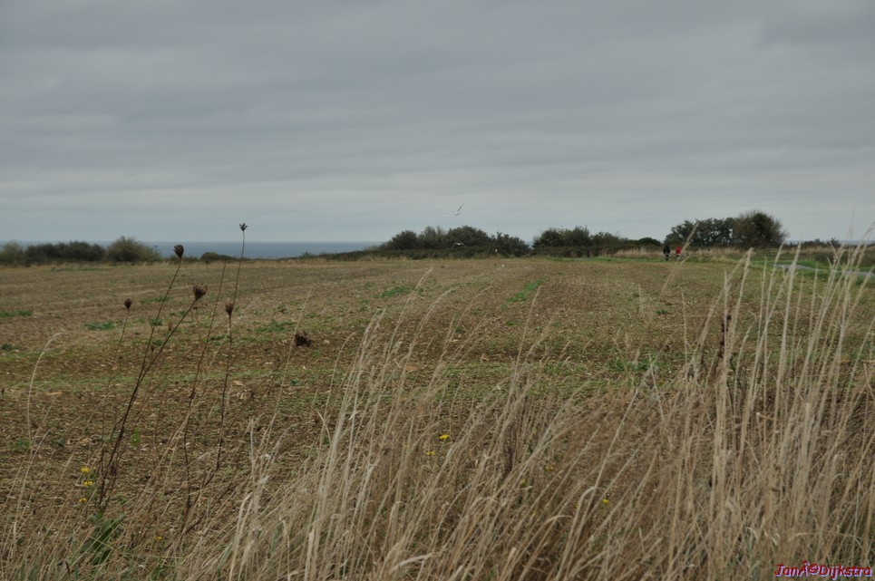 DSC_2351.JPG