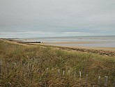 DSC_2299.JPG