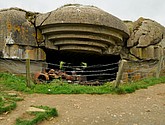 DSC_2339.JPG