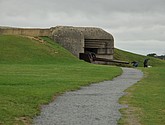 DSC_2350.JPG