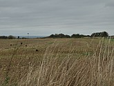 DSC_2351.JPG