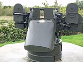 IMG_1156.JPEG