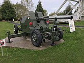 IMG_1163.JPEG