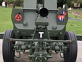 IMG_1164.JPEG
