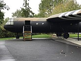 IMG_1166.JPEG