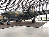 IMG_1181.JPEG