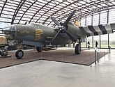 IMG_1182.JPEG