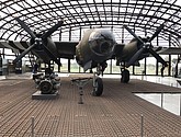 IMG_1183.JPEG