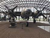 IMG_1184.JPEG