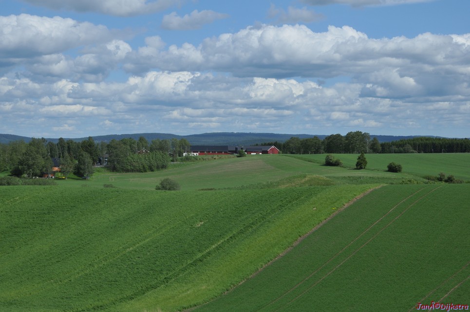 dsc_3301.jpg