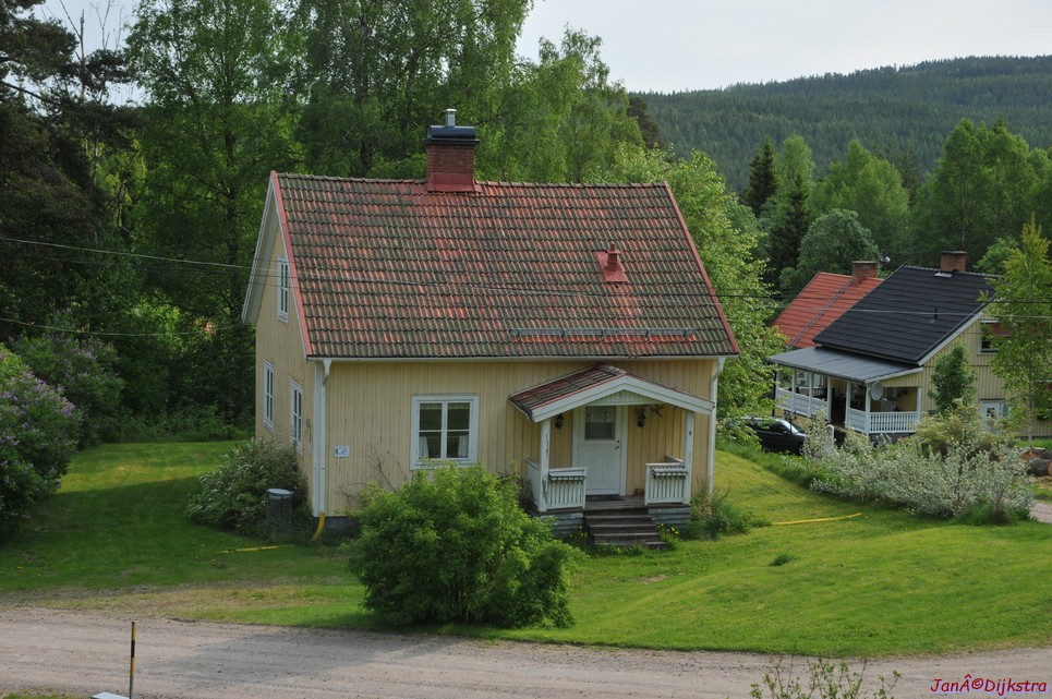 dsc_3335.jpg