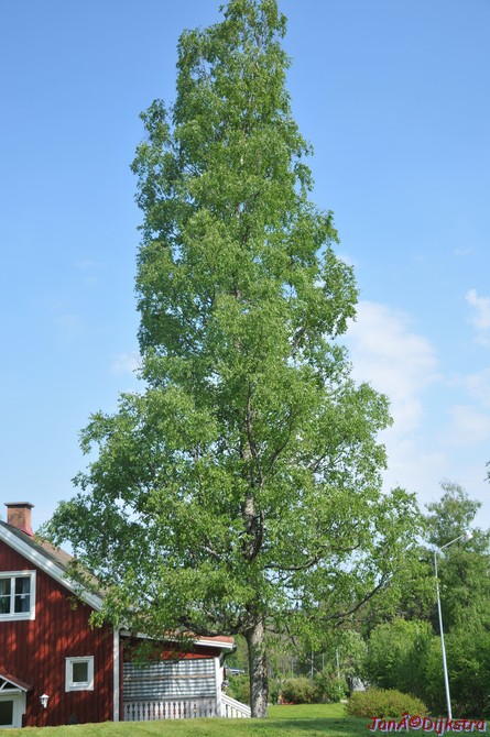 dsc_3352.jpg
